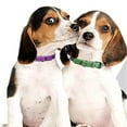 thumbnail image 3 of Pet collar set Adjustable collar leather for small medium large dog neck, 3 of 5