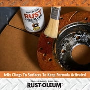Rust-Oleum Rust Dissolver Jelly, 8 fl oz