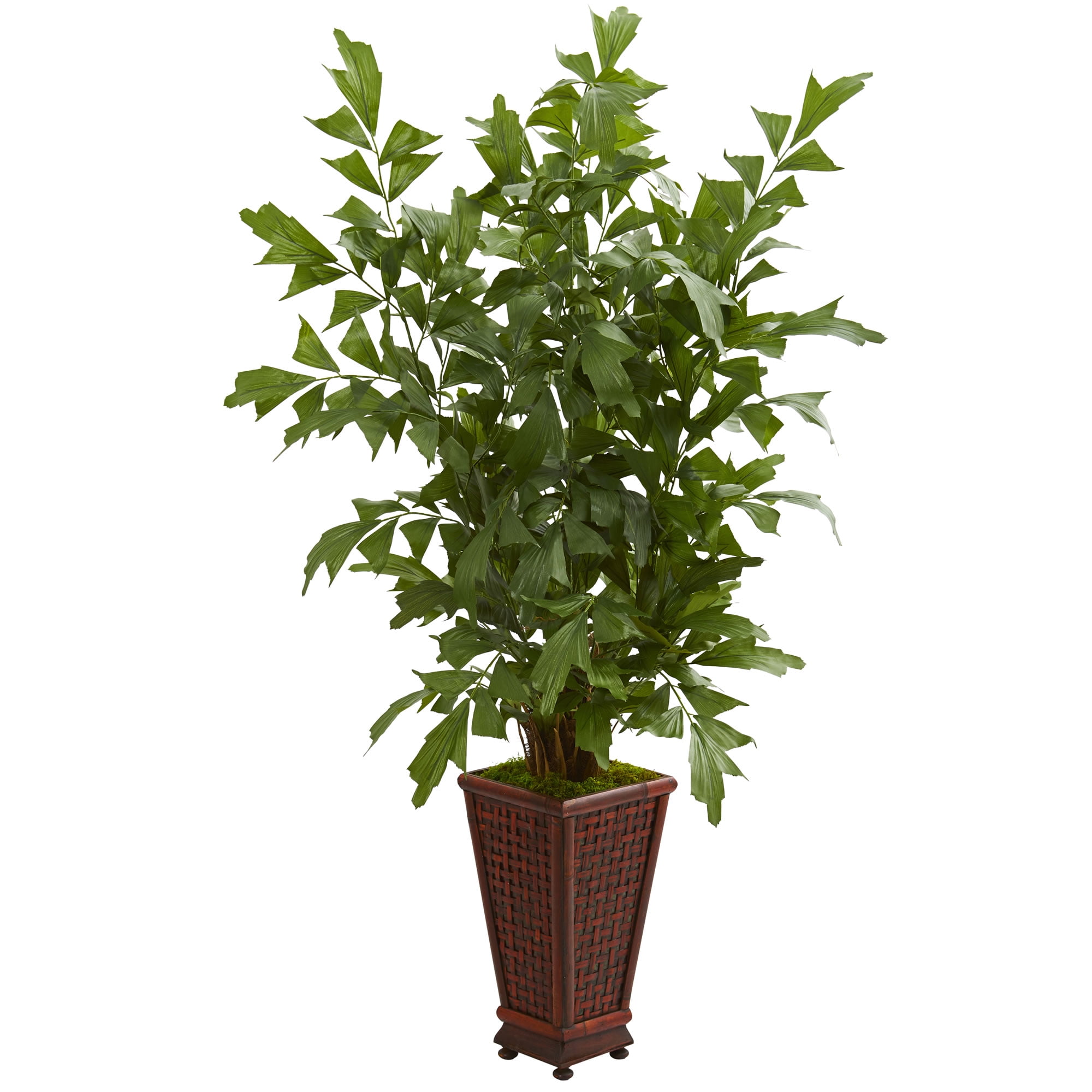 Nearly Natural 5ft. Fishtail Artificial Palm Tree in Planter Walmart