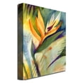 thumbnail image 2 of Trademark Art "Bird of Paradise" Canvas Wall Art by Shelia Golden, 2 of 2