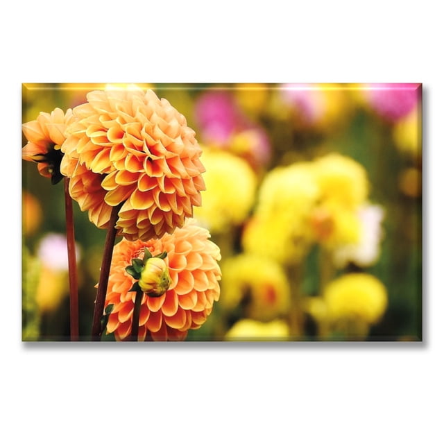 Cuadro Canvas Pixtreats Dalia 2 40X60 cm
