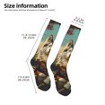 thumbnail image 2 of Sikiie Forest Maple Leaf Husky Knee Socks, High Socks Long Stretchy Sock Women Knee High Stocking, Long Socks for Women, 2 of 6