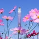 thumbnail image 3 of Set Roll-On Perfume MISS NELLA Be Like Me para niños, 10 ml, 3 of 9
