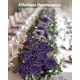 thumbnail image 5 of Flores artificiales InnoGear Dusty Purple Foam Rosas x50, 5 of 7
