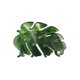thumbnail image 1 of wonima11 Green Monstera Hair Clips,Cellulose Acetate Hair Clips,Small Claw Clips for Girl,Hair Accessories,Translucent, 1 of 1