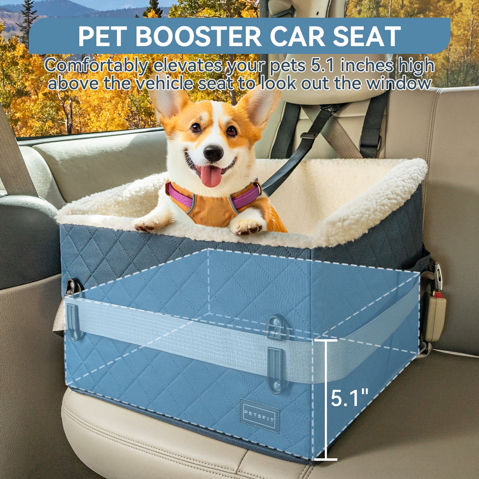 PETSFIT Pet Car Seat for Small Dogs,Patented Safety Buckles, Detachable Clip-On Safety Leash, 30 LBS (Blue)