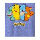 thumbnail image 2 of Camiseta Pokémon Classic Starter Group de manga larga para niños, 2 of 4