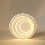 Modern Acrylic Ceiling Light Flush Mount LED Ceiling Light (Warm White Light)