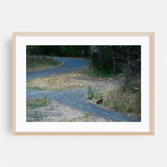 Rabbit’s Verdant Hunger in Oaks Bottom - Portland Oregon Photography Wildlife Woodland Nature Rural Scenic Landscape Oak Framed Wall Art Print 12 x 18 inches