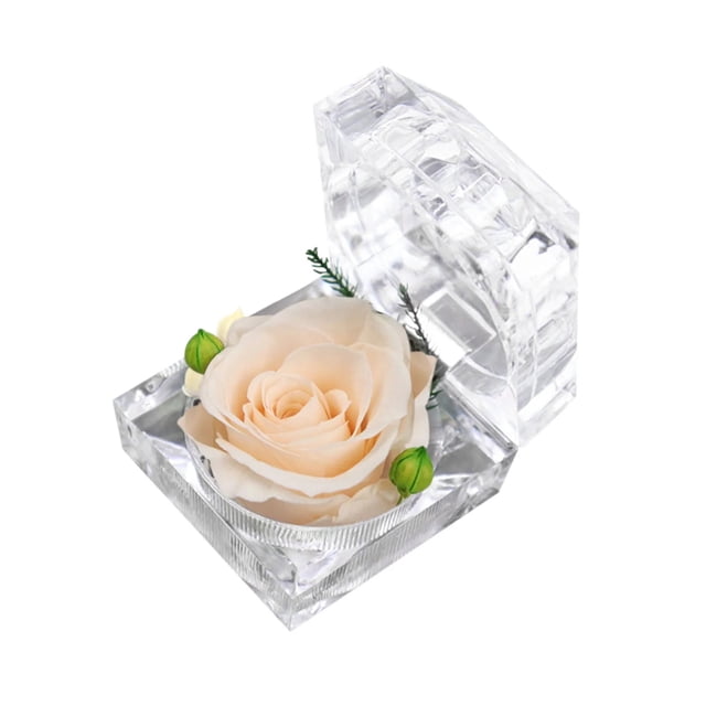 Maojin Flor preservada Rosa real, flores inmortales eternas, el mejor regalo para el día de San Valentín, mujer, día de la madre, día de San Valentín, aniversario, cumpleaños, flor