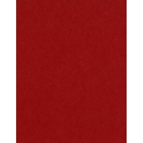 Bazzill Card Shoppe Heavyweight Cardstock 8.5"X11"-Peppermint