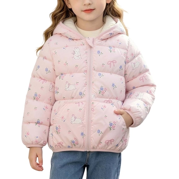 Fnooota Girls Puffer Jackets Size 2-3 T, Zipper Long Sleeve Warm Fashion Winter Outerwear with Pockets Pink