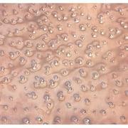 Hammered Copper Sheet 24"x48" - 16oz - 0.022" Thickness - 24 Ga - Texture #2 - Free 48 State Shipping
