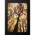 thumbnail image 2 of Aledanda 17x24 Black Modern Framed Museum Art Print Titled - Towering Trees I, 2 of 5