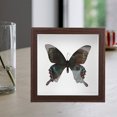 thumbnail image 4 of ORDDIART 1Pack Desktop Picture Frame Brown Photo Display Specimen Storage Bedroom Decoration, 4 of 6