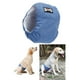 thumbnail image 5 of Pañal fisiológico lavable y reutilizable para perros grandes azul M, 5 of 8