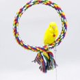 thumbnail image 5 of Bird Rope Swing Colorful Perch Climbing Toy for Parrots Budgie Parakeet Cockatiel Cockatoo Conure, 5 of 5
