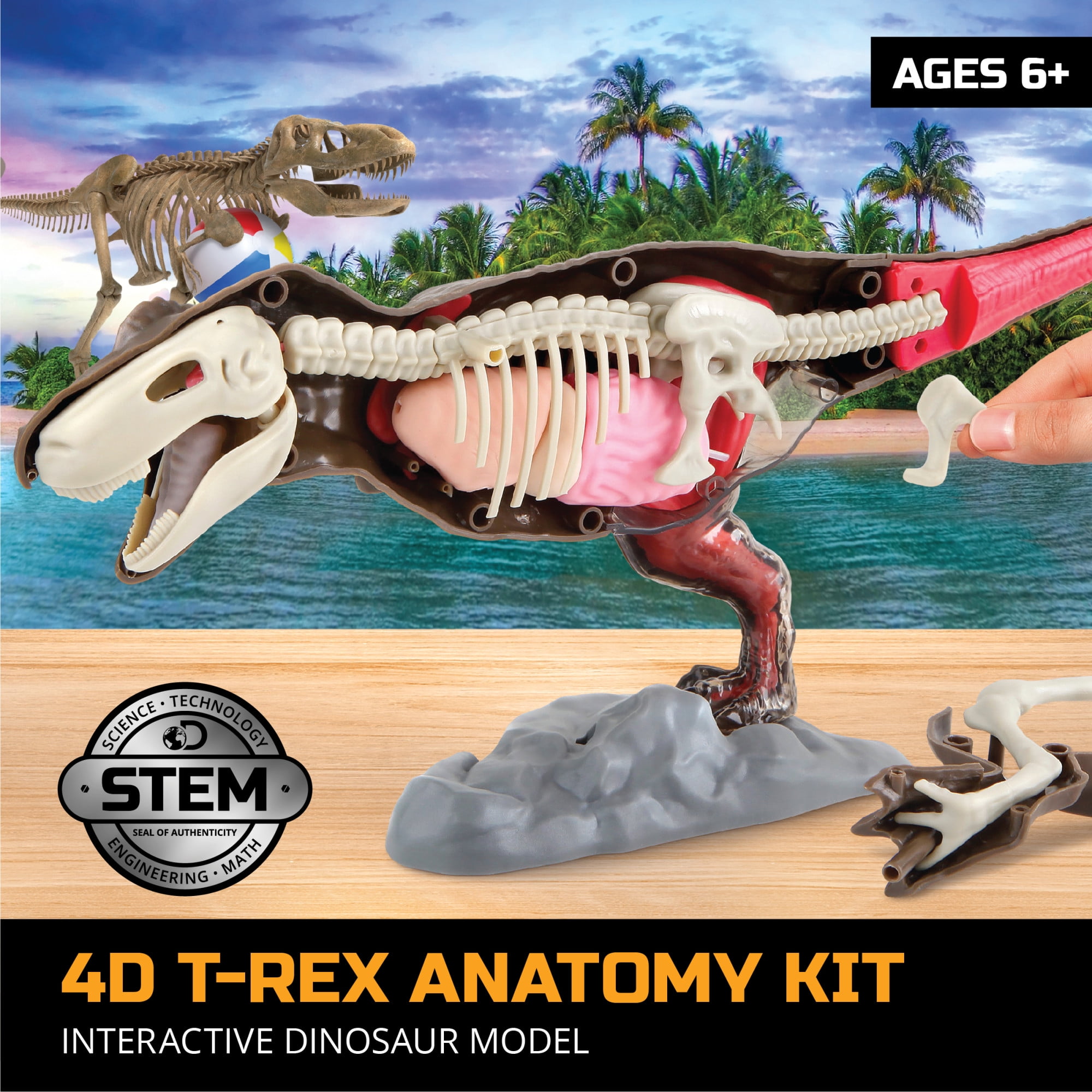 おまけ付 新品 Discovery Educationa And Fun Science Learn Model Paleontology Archaeology Interactive Kit Anatomy Dinosaur T Rex 4d Mindblown 知育玩具 Www We Job Com