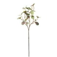 thumbnail image 2 of Gwong Decoración hogareña 1 unid vegetal artificial eucalyptus falsa hoja verde oficina de la oficina de la boda decoración de la fiesta Gwong 21055549, 2 of 7