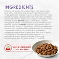 thumbnail image 4 of Purina Fancy Feast Dry Cat Food, Savory Chicken & Turkey, Contains Essential Vitamins & Minerals, Gourmet Cat Food for Adult Cats, 16 OZ Bag (Pack of 4), 4 of 8