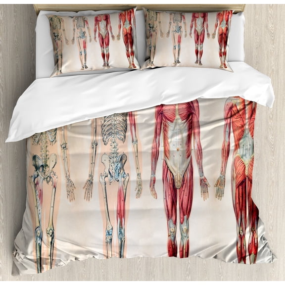 Ambesonne Vintage Duvet Cover Set, Anatomy Human Body, King, Ruby Cream