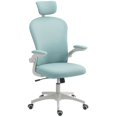 thumbnail image 1 of Chaise de Bureau en Maille Vert Pâle avec Soutien Lombaire 4D et Appuie-Tête Réglable – Chaise Ergonomique pour Ordinateur à la Maison et au Bureau, 47,2 Po H, 1 of 7