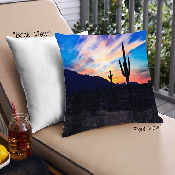 Ahgly Company Plants Cactus Outdoor Throw Pillow, 18 inch by 18 inch