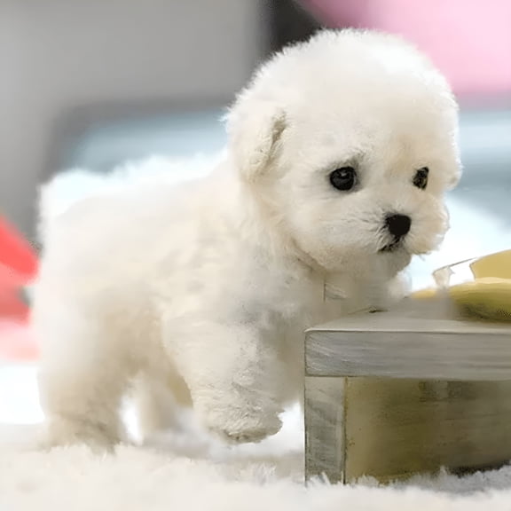 CYFW My Realistic Robot Puppy,Robot Puppy Plush Toy - Walking,Barking,Tail Wagging,Walking Dog Toy