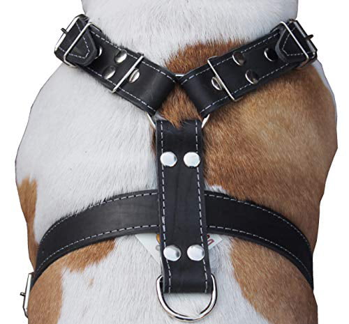 Great Dane Cane Corso Mastiff Real Leather Dog Harness 35" 40" chest size 