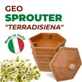 thumbnail image 3 of Tribest GEO Terradisiena 4 Holes Plant Germination Tray with 4-Tier Design, 3 of 6