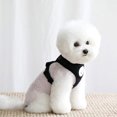 thumbnail image 2 of Correa para perro chaleco Teddy perro pequeño mascota correa para el pecho suministros para correa para perro JM Papelería, 2 of 5