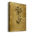 thumbnail image 2 of Gold Sketch Botanical II Premium Gallery Wrapped Canvas - Ready to Hang - 18 x 27, 2 of 9