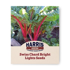 Harris Seeds Swiss Chard Bright Lights, Multicolor Stem Leafy Green Mix, 100 Count