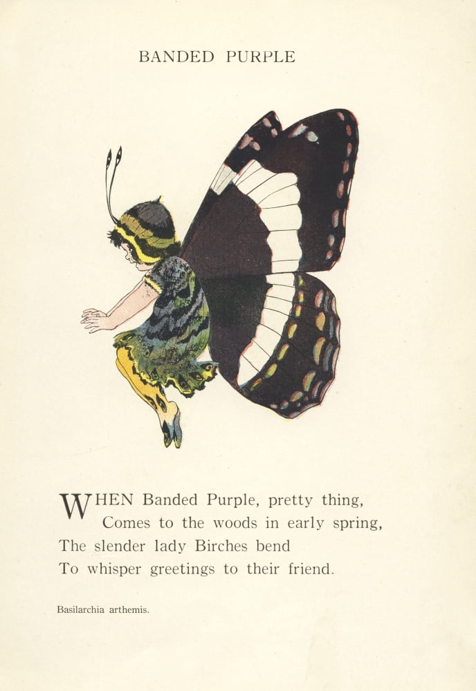 Butterfly Babies 19