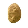 thumbnail image 3 of Realistic Faux Rocks for Landscaping - Lightweight Decorative Stones for Garden, Courtyard, Well Cover & Outdoor Decor - Durable & Natural Looking Artificial Rocks for Backyard, Yard & Patio Design, 3 of 6