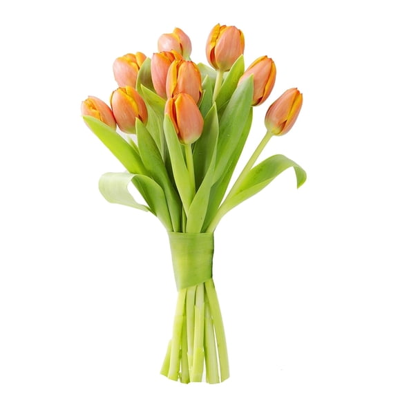KaBloom: 10 Orange Tulips, Next-Day Delivery, Gift for Every Occasion.