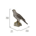 thumbnail image 5 of Autruche du Nord Debout sur une STATUE de Roche, 5 of 5
