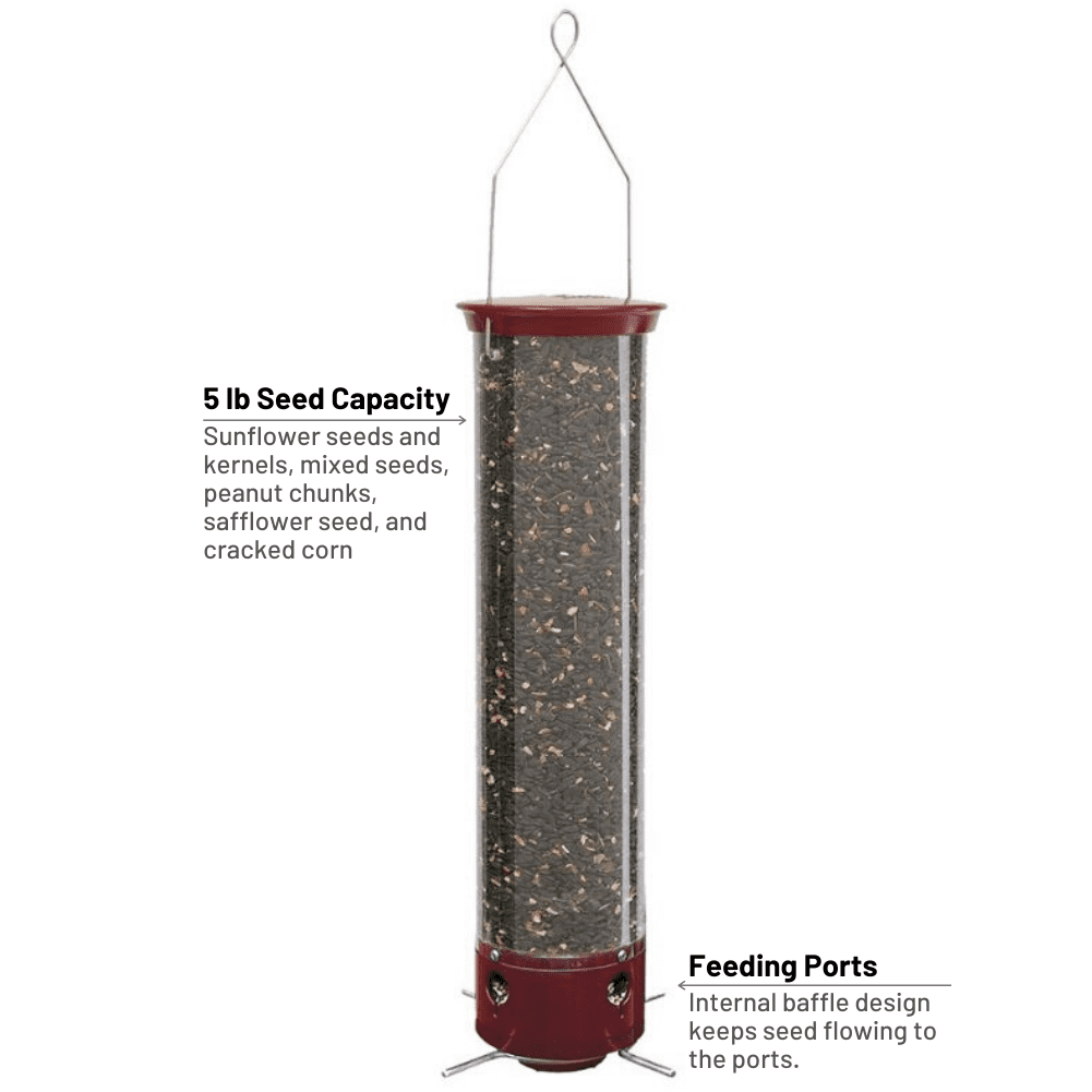 Droll Yankees Yankee Dipper Squirrel-Proof Tube Bird Feeder - Burgundy - 5 lb. capacity
