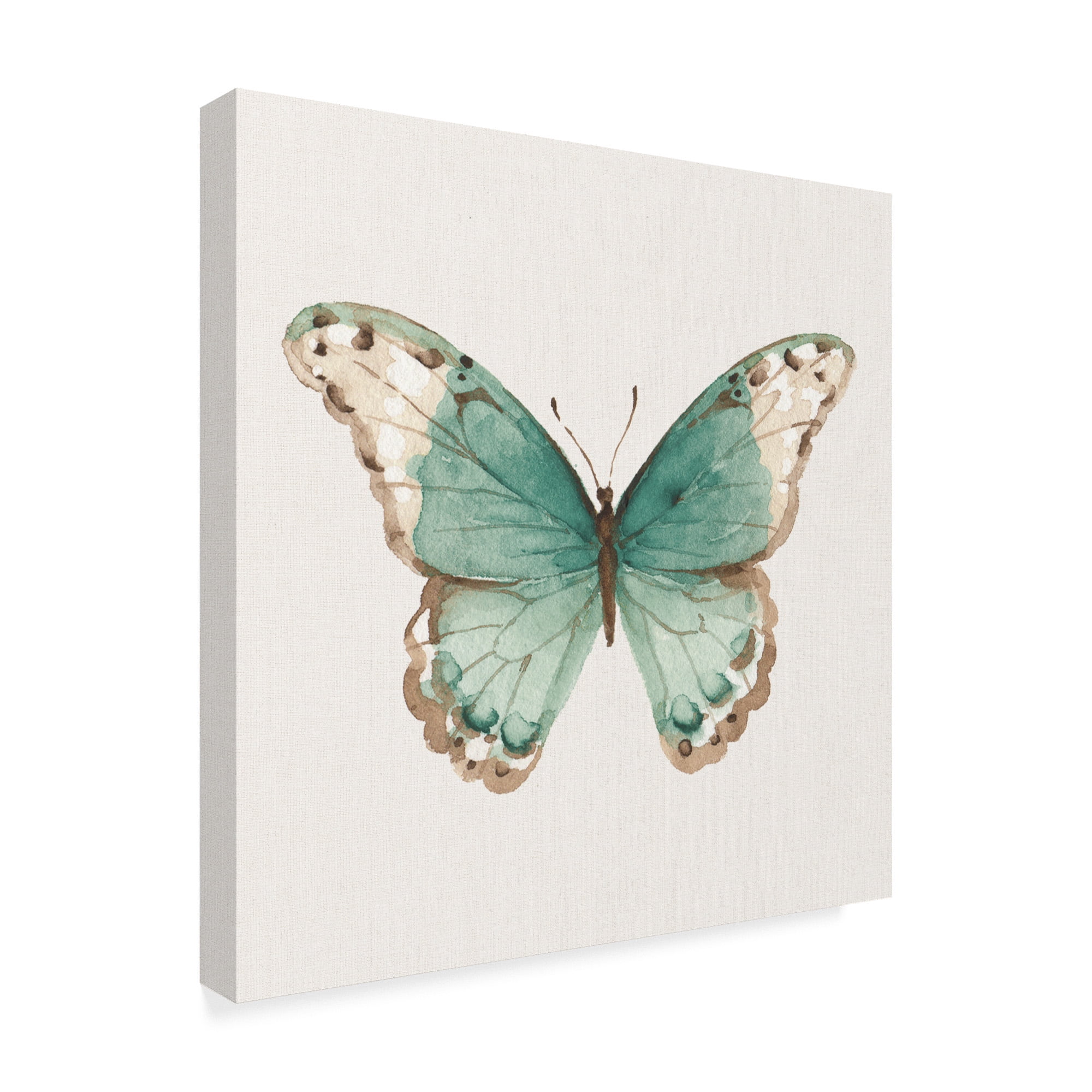 Trademark Fine Art 'Colorful Breeze XII with Teal' Canvas Art by Lisa Audit