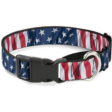 Buckle-Down American Flag Vertical Close-Up Martingale Dog Collar, 1" Wide-Fits 15-26" Neck-Large 1" Wide - Fits 15-26" Neck - Large Multicolor