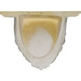 thumbnail image 4 of 10 3/8"W x 6"D x 7 3/8"H Shell Decorative Shelf, 4 of 5