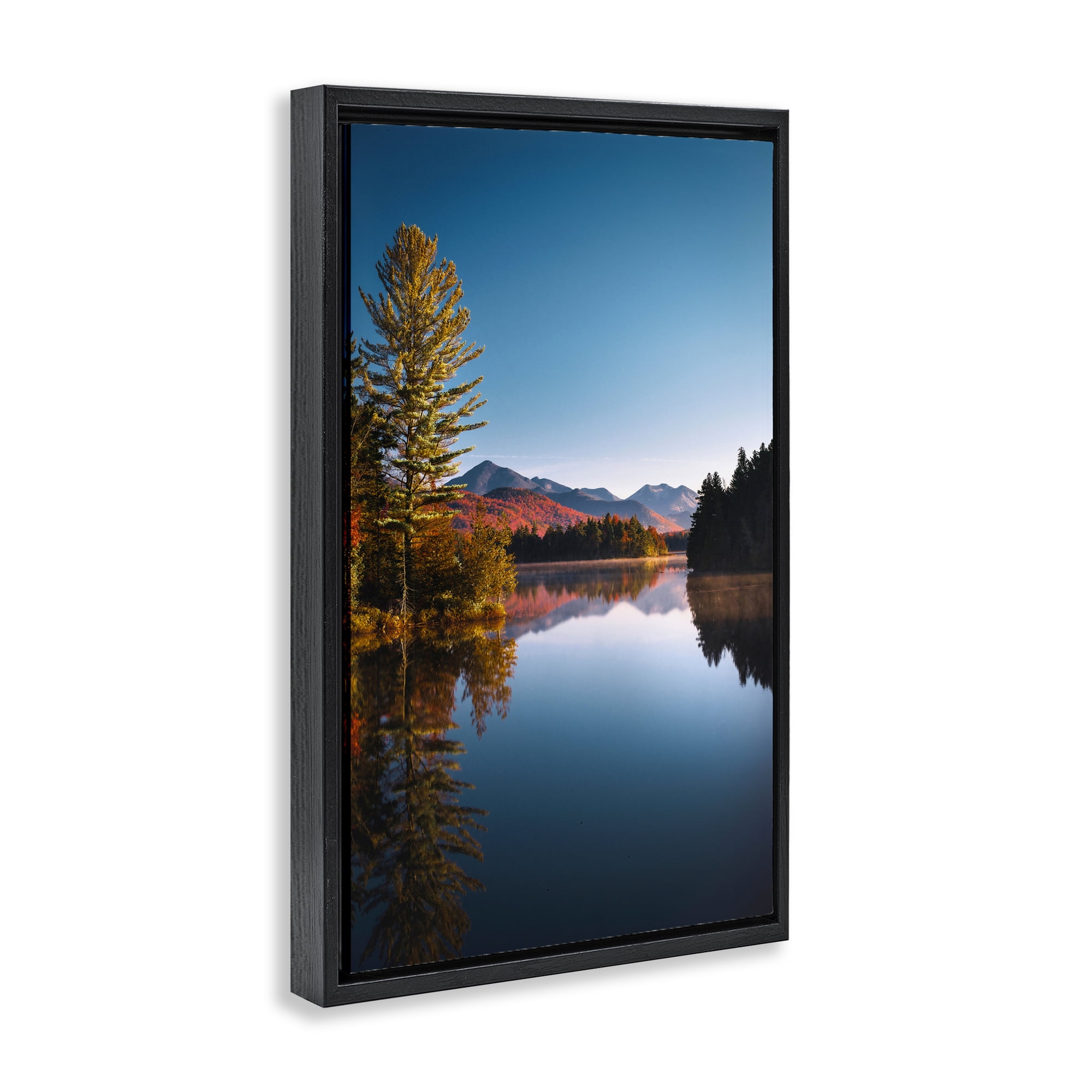 Stupell Industries Autumn Morning Wilderness Black Framed Floater Canvas Wall Art, design by Jonathan Zaharek