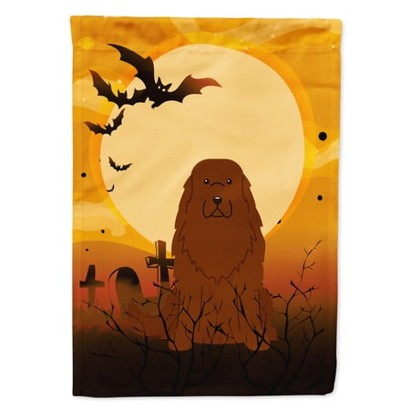 Carolines Treasures BB4316GF Halloween Caucasian Shepherd Dog Flag Garden Size   Small  multicolor