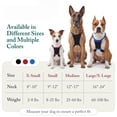 thumbnail image 4 of Yuppie Puppy Nylon Mesh Non-Pulling Dog Harness, Black, S (8" to 14" Chest Size), 4 of 11