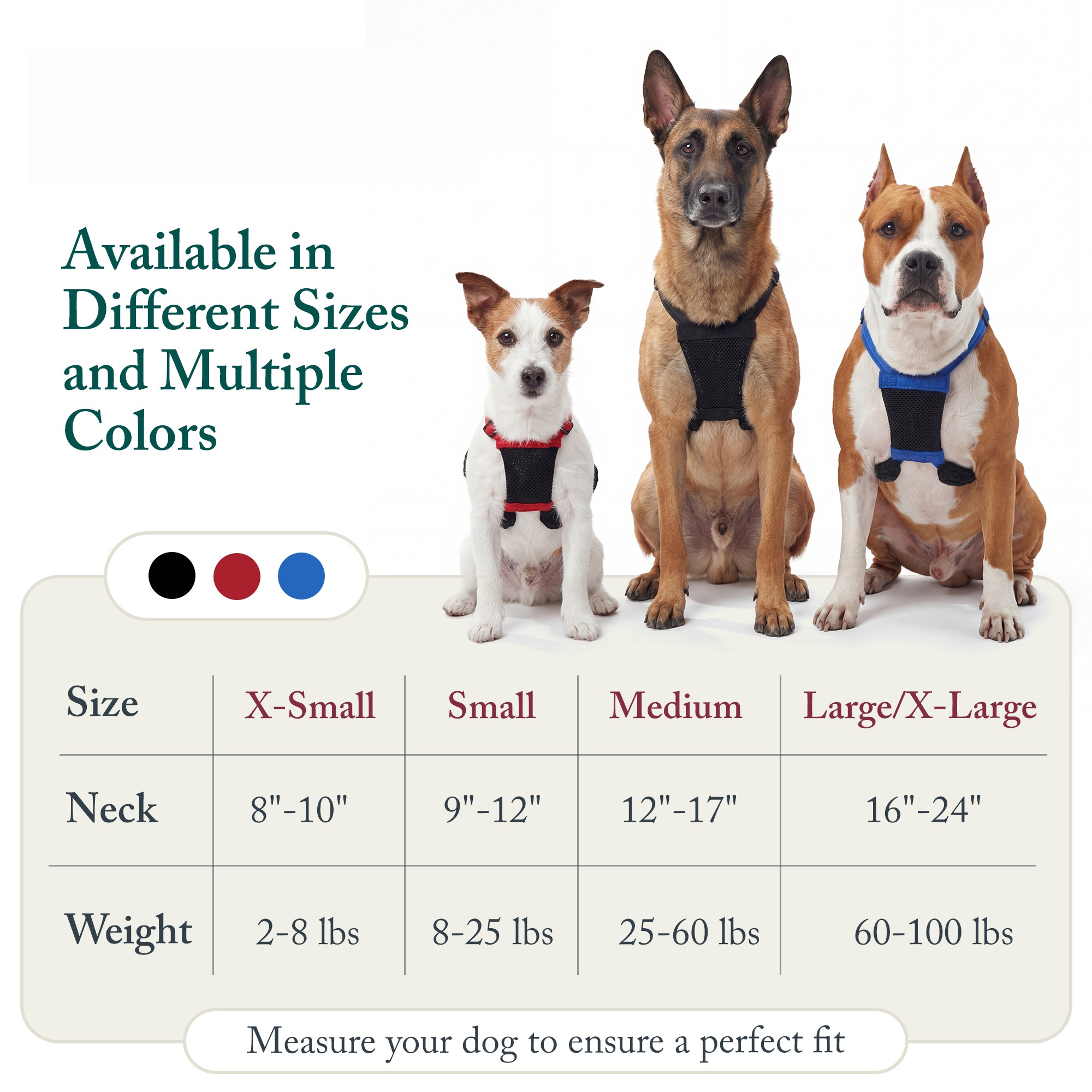 Yuppie Puppy No Pull Dog Harness, Black, Small photo 4