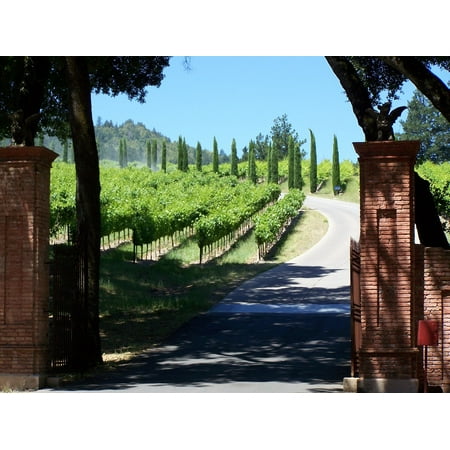 Canvas Print Winery Napa Valley California Wine Country Stretched Canvas 10 x