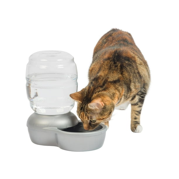 Bebedero automático por gravedad Petmate Replendish de 3,8 litros para gatos y perros