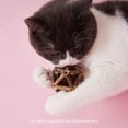 thumbnail image 3 of Palitos de hierba gatera para gatos, juguete de hierba gatera para gatitos, menta gatera, limpieza natural, suministros para mascotas, 3 of 5