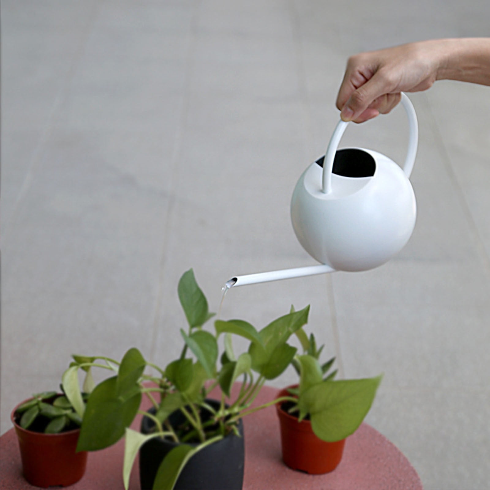 Gecau Stainless Steel Watering Can - Metal Watering Can With Long Spout To Spillage, Perfect Plant Watering Can For Outdoor And Indoor Plants White Safe&N