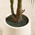 thumbnail image 6 of 5FT Artificial Palm Tree with Oval White Pot, Perfect for Indoor/Outdoor Decoration, 6 of 6